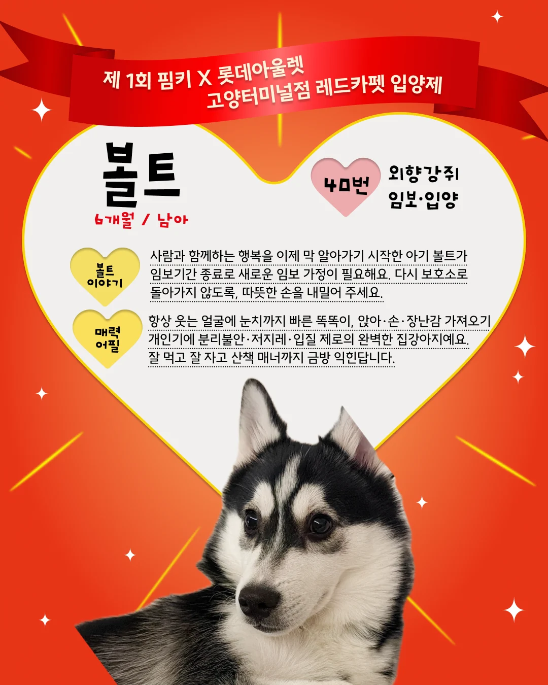 볼트 대표 이미지