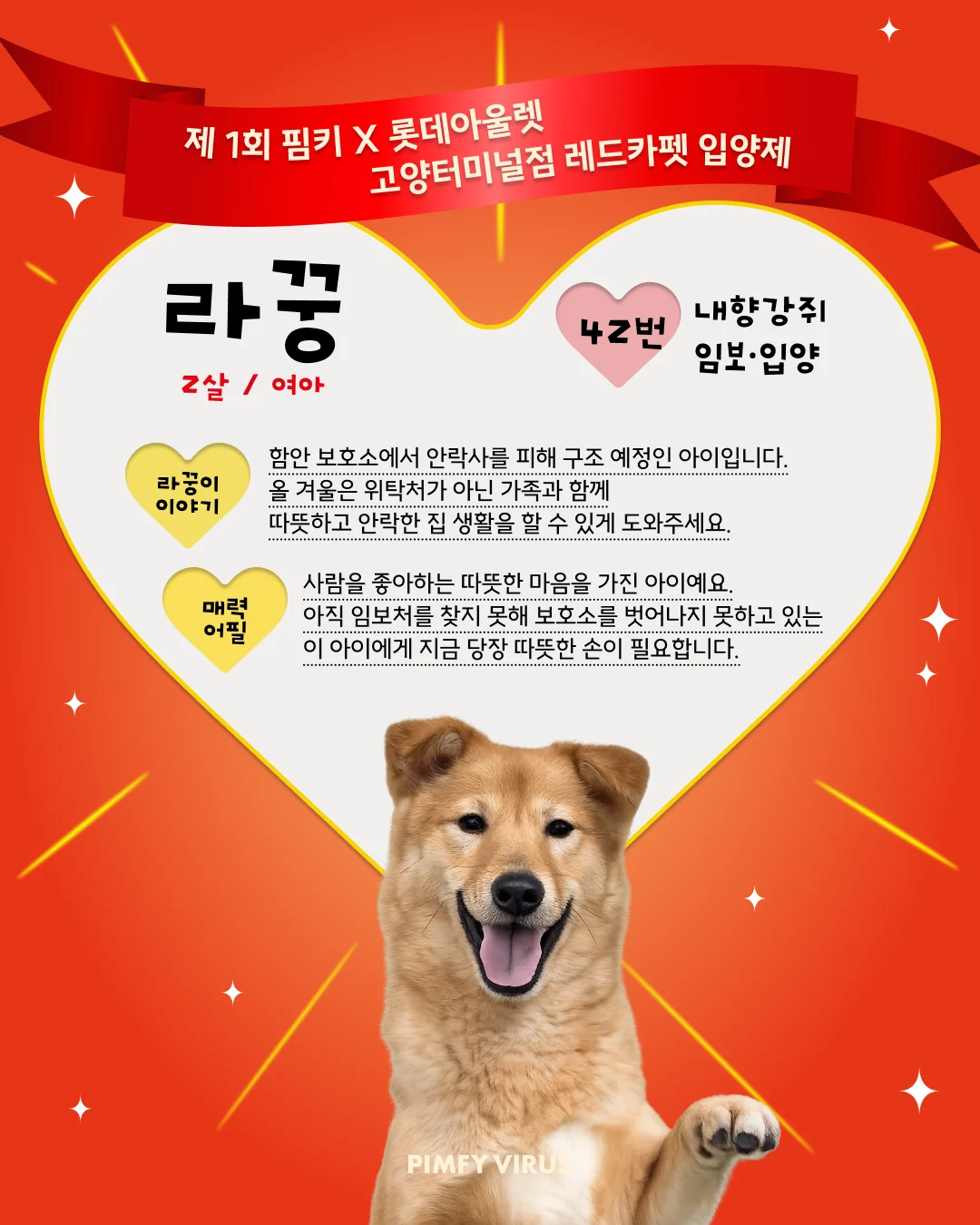 라꿍 대표 이미지