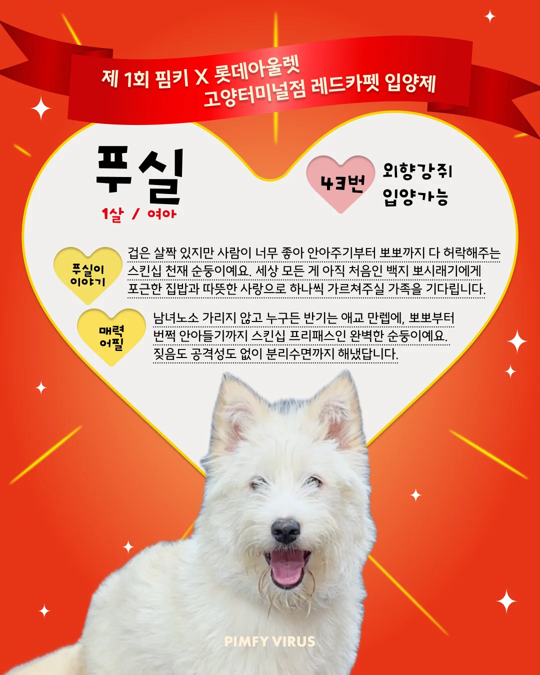 푸실 대표 이미지