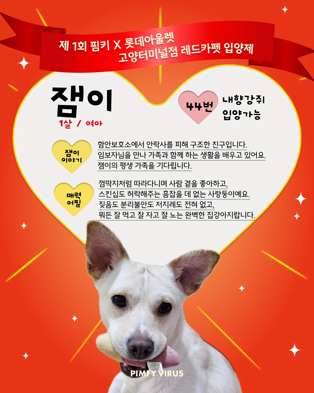 잼이 대표 이미지