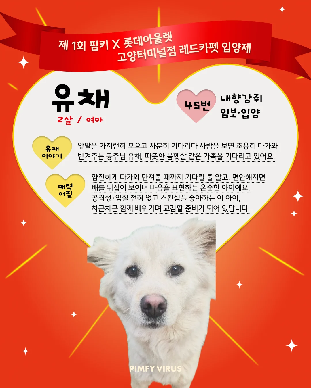 유채 대표 이미지