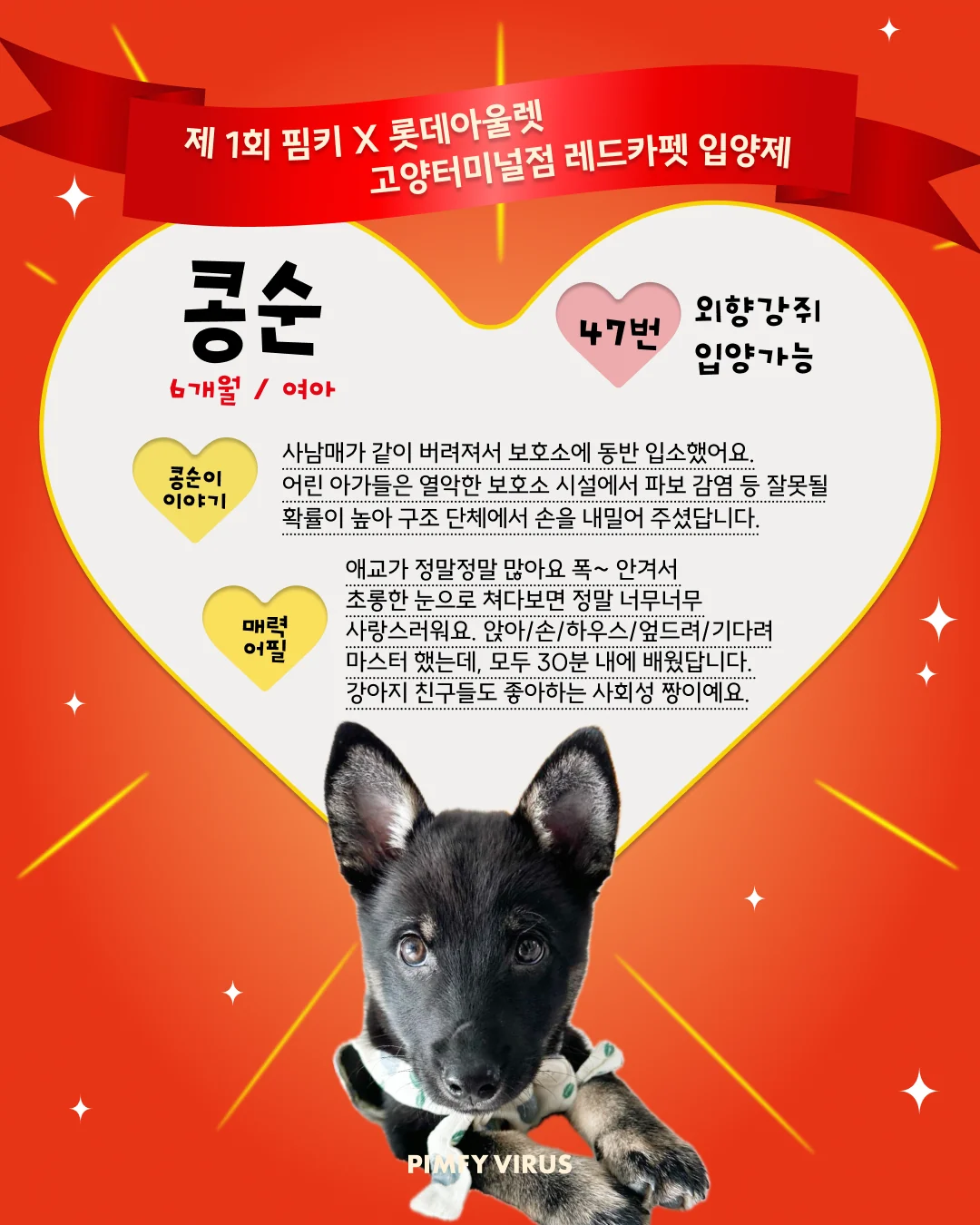 콩순 대표 이미지