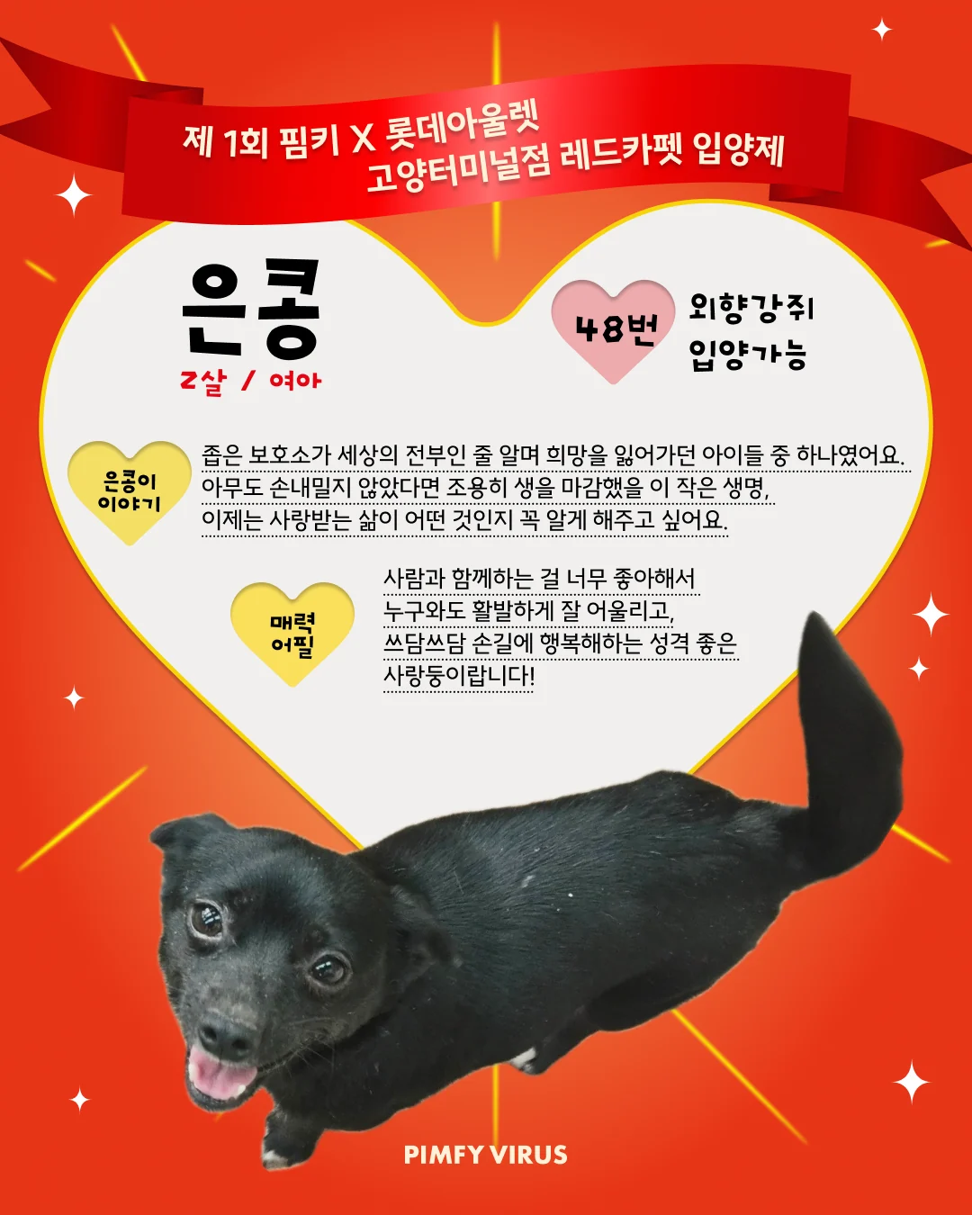 은콩 대표 이미지