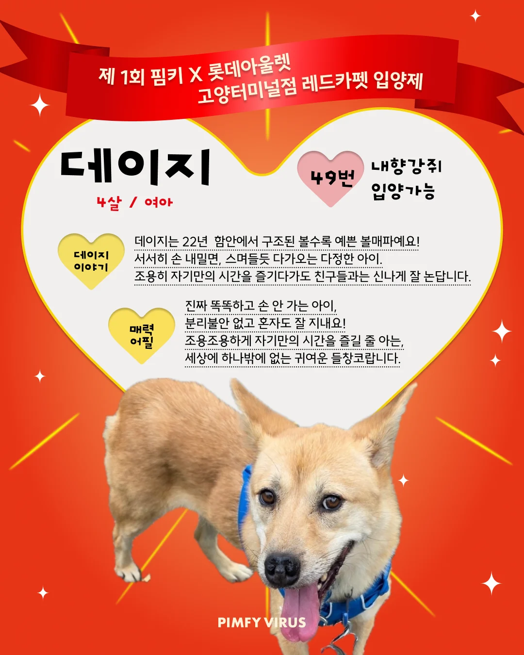데이지 대표 이미지