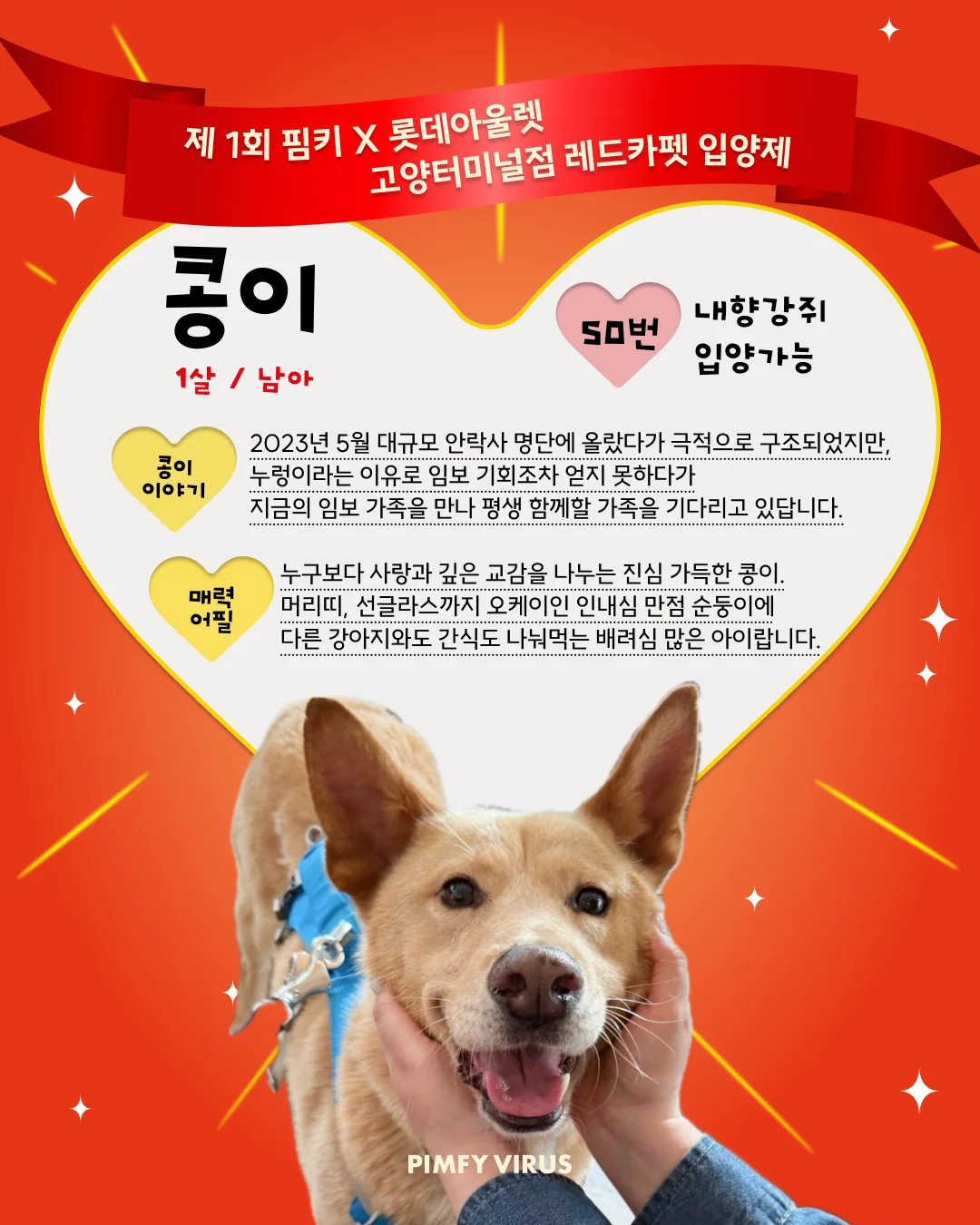 콩이 대표 이미지
