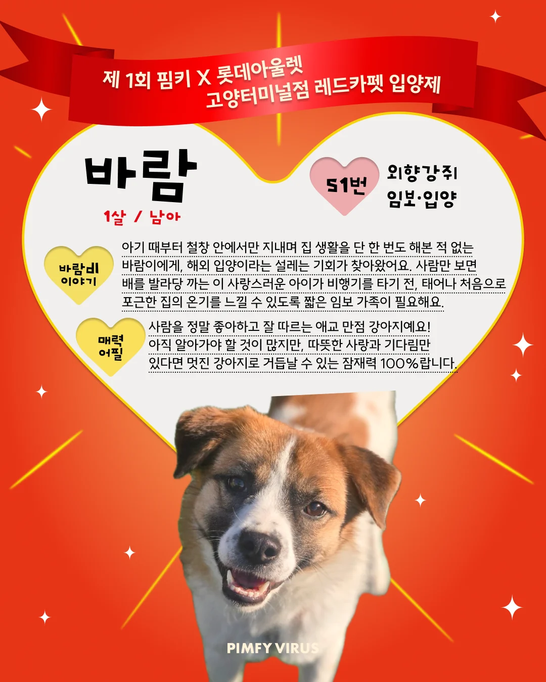 바람 대표 이미지