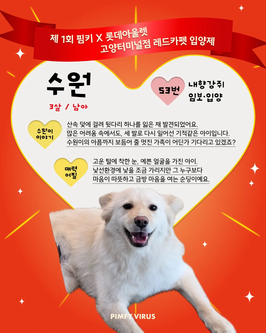 수원 대표 이미지