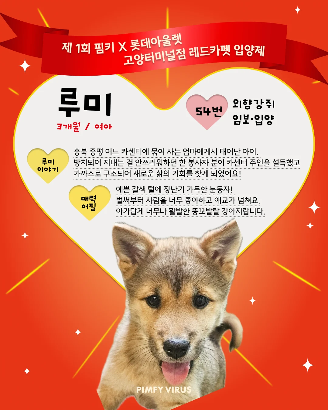 루미 대표 이미지
