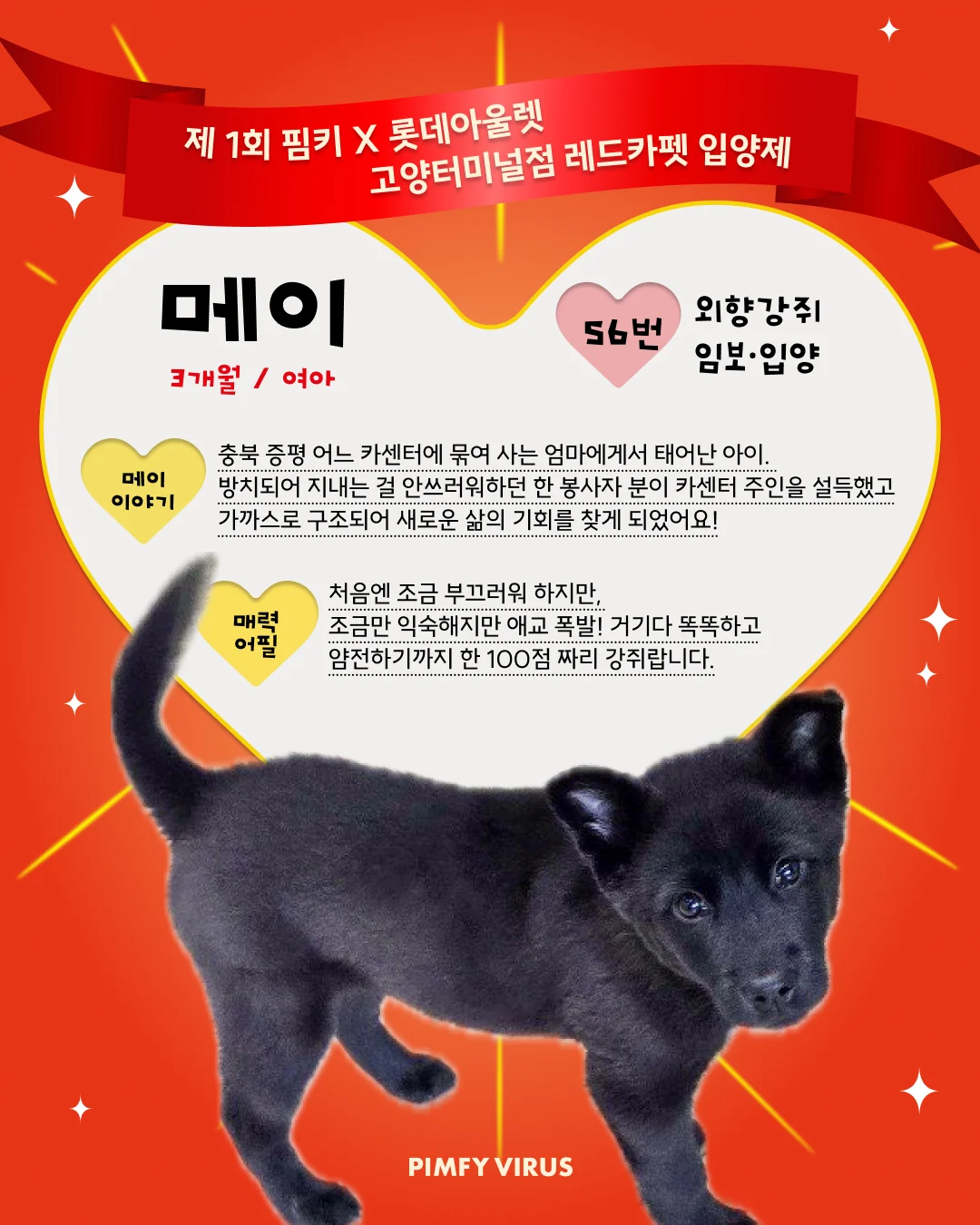 메이 대표 이미지