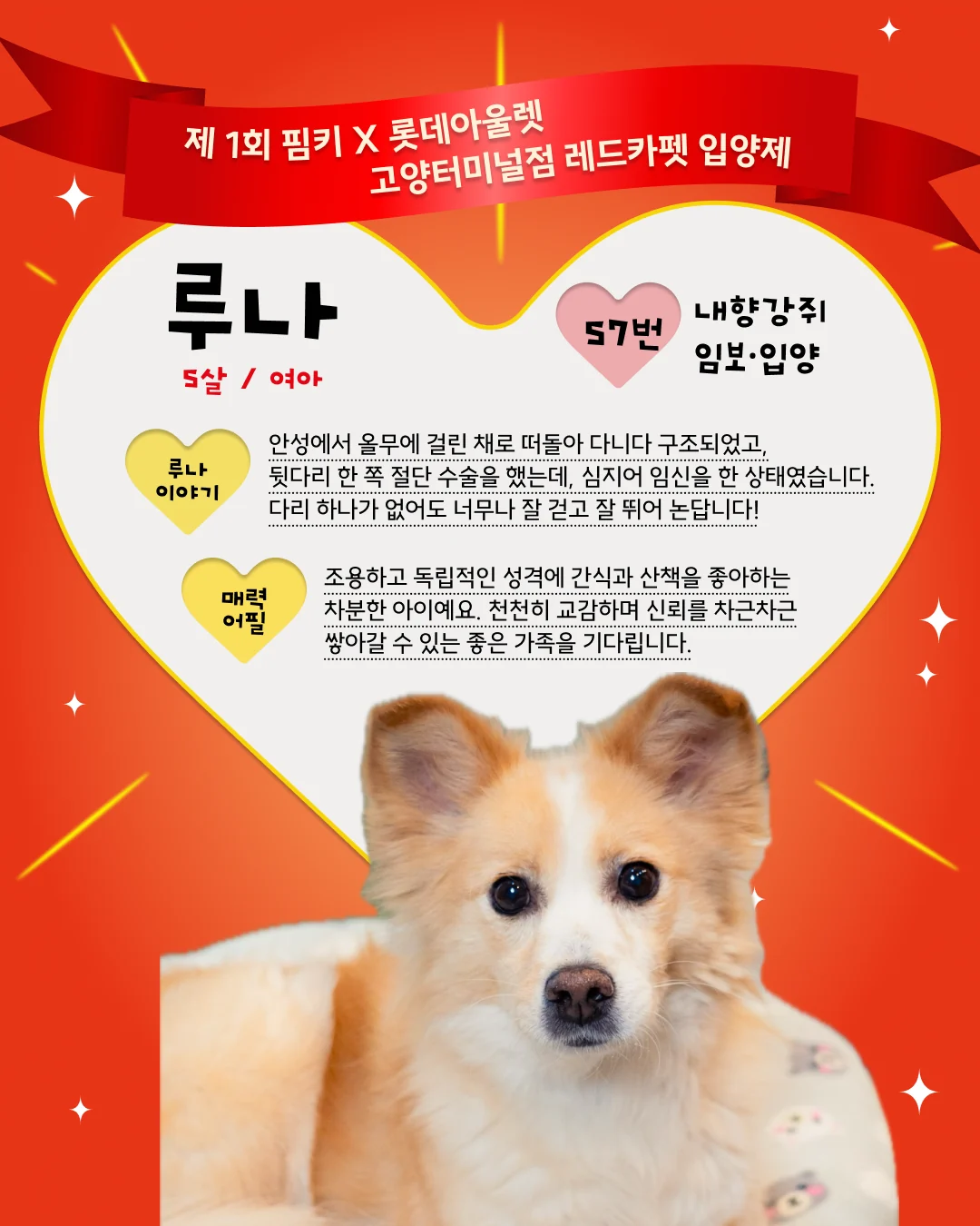 루나 대표 이미지