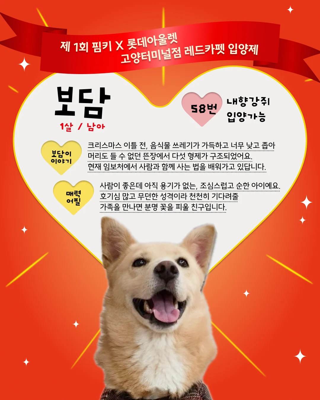보담 대표 이미지