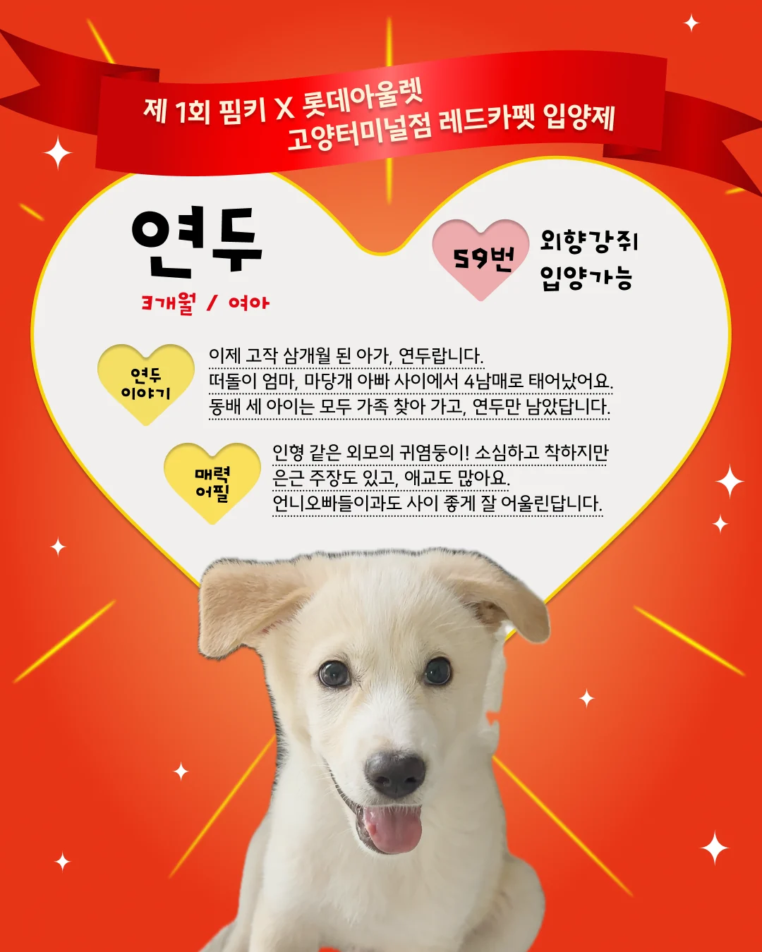 연두 대표 이미지