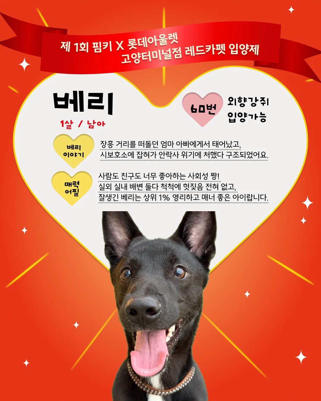 베리 대표 이미지