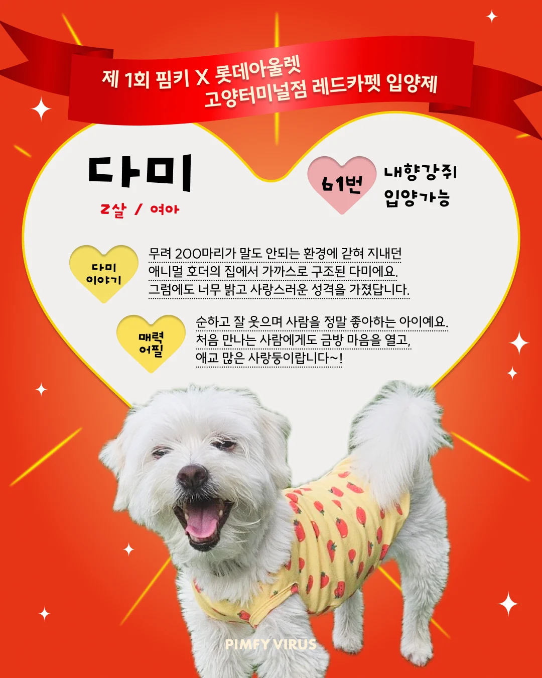 다미 대표 이미지