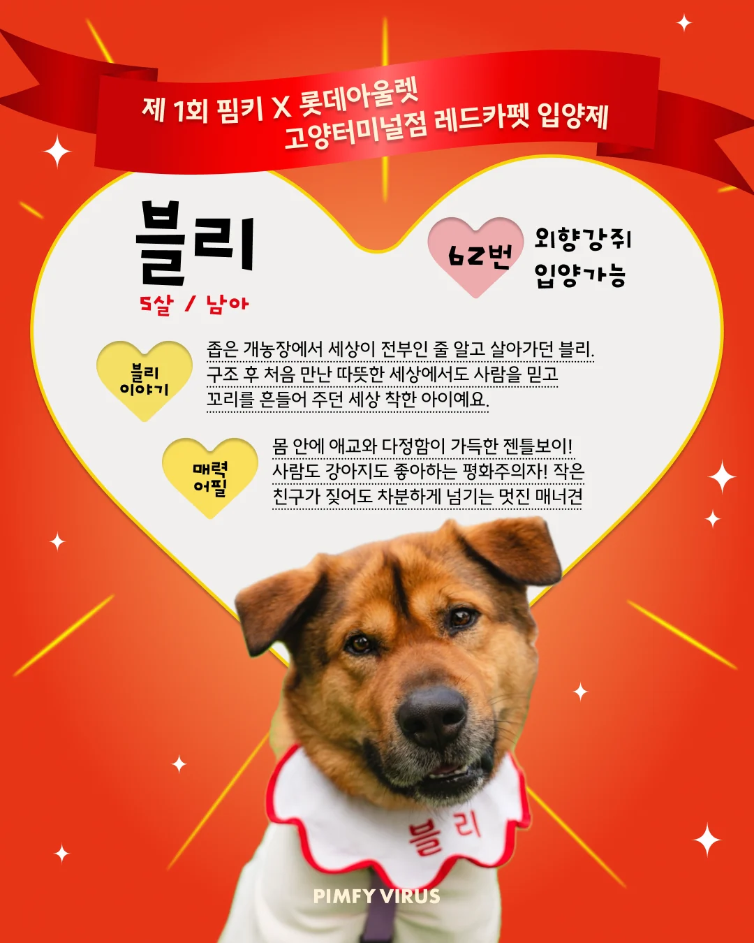 블리 대표 이미지