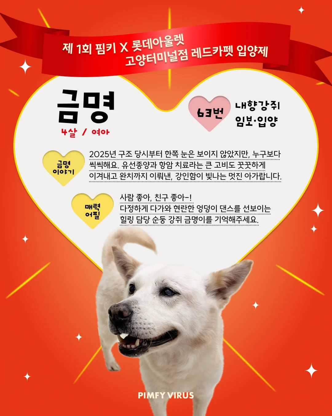 금명 대표 이미지